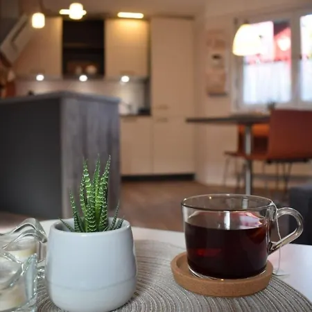 Apartment Ritts Freiraum For Study Kehl